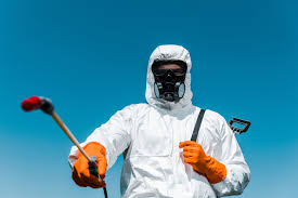 Best Termite Inspection and Treatment  in Standish, MI